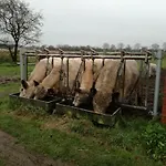Rosengaard And شقة Bramming