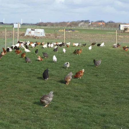 아파트 Rosengaard And *