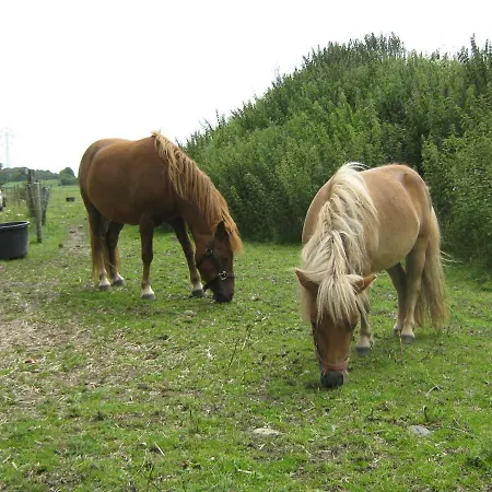 Apartment Rosengaard And *