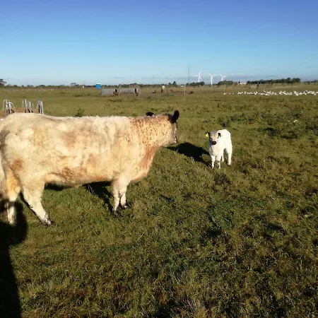 アパート Rosengaard And Bramming