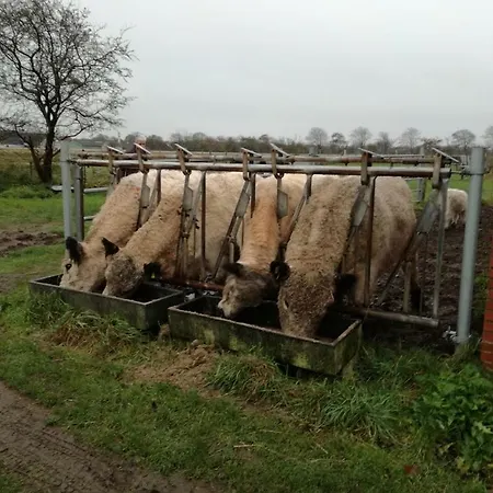 Rosengaard And Apartmán Bramming