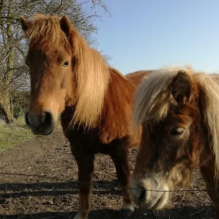 아파트 Rosengaard And