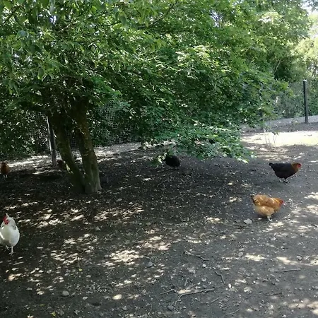 아파트 Rosengaard And Bramming