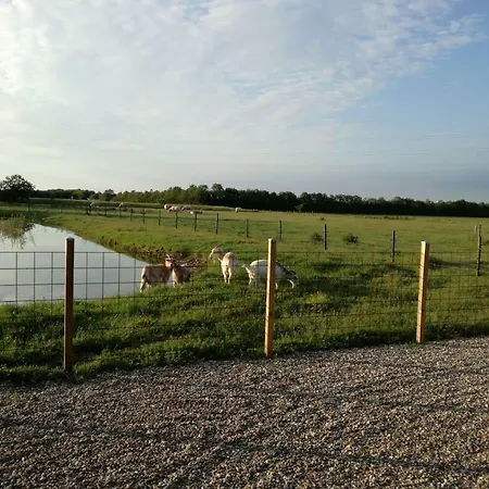 아파트 Rosengaard And Bramming