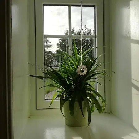 Rosengaard And Bramming